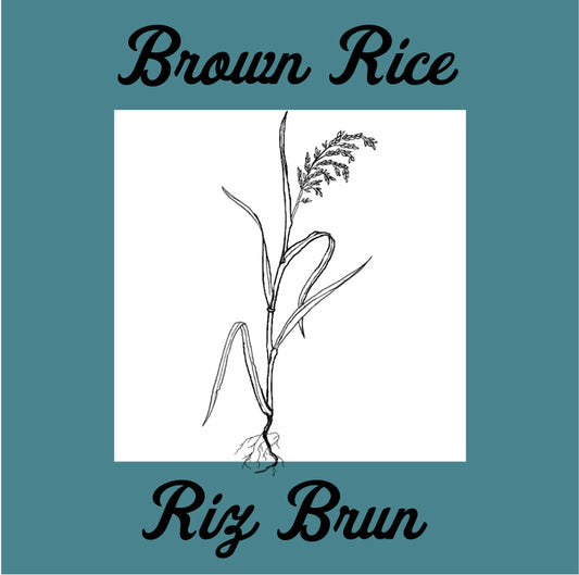 Brown Rice - Gluten Free Organic Sourdough Bread