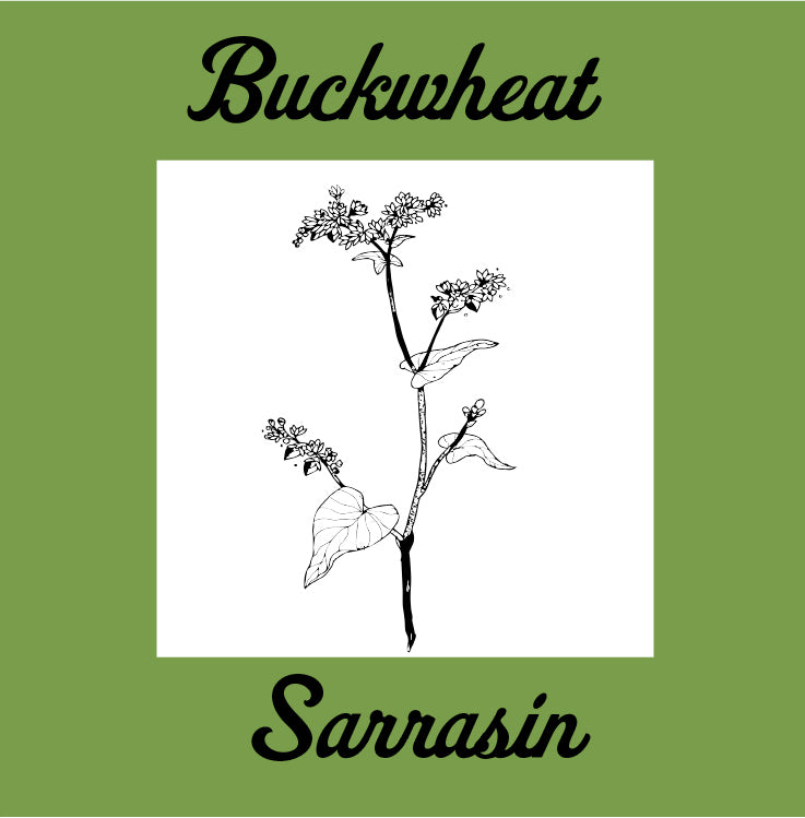 Buckwheat - Gluten Free Organic Sourdough Bread