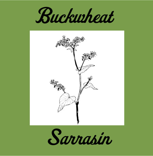 Buckwheat - Gluten Free Organic Sourdough Bread