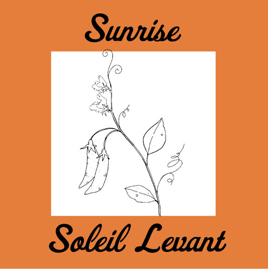 Sunrise - Gluten Free Organic Sourdough Bread